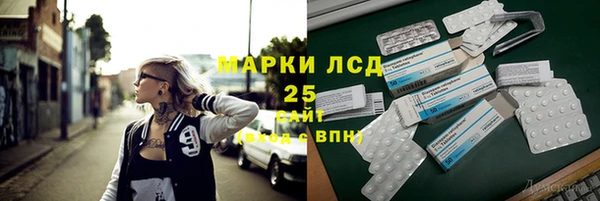прущие грибы Красноперекопск