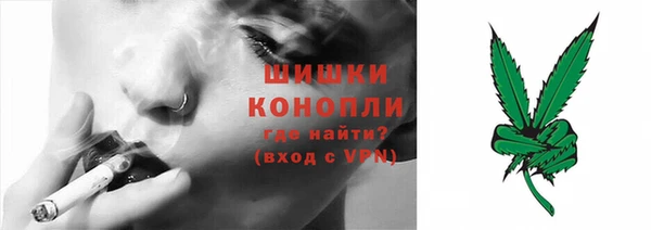 прущие грибы Красноперекопск