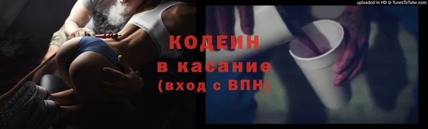 прущие грибы Красноперекопск